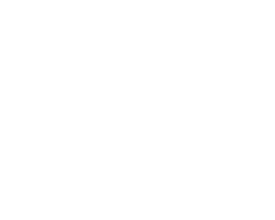 logo blanc netpoint_