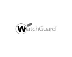 Logo Watchguard gris pour netpoint 