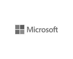 logo microsoft gris pour netpoint 