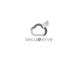 logo secureserve gris pour netpoint